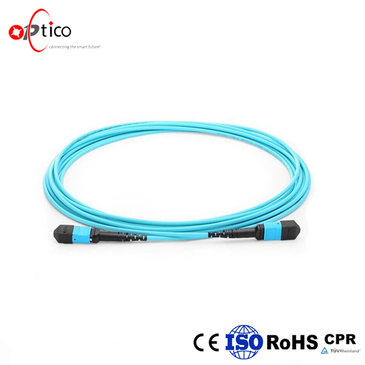 MTP Patch Cord 1.jpg